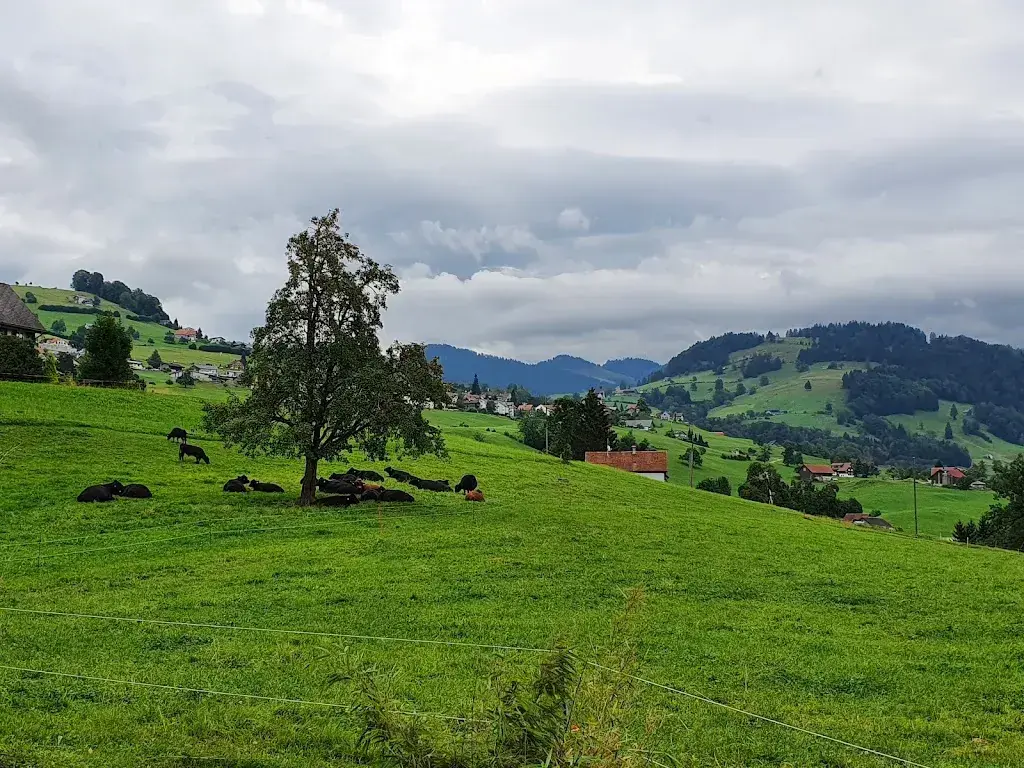 Patrycja Wasilewska_Heubett | Raumvermietung | Event | Geburtstage | Firmenanlässe_Kaltbrunn_review