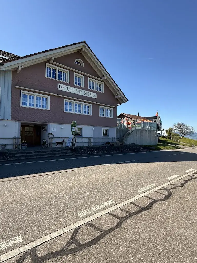 DCt_Bildhus_Ricken_review