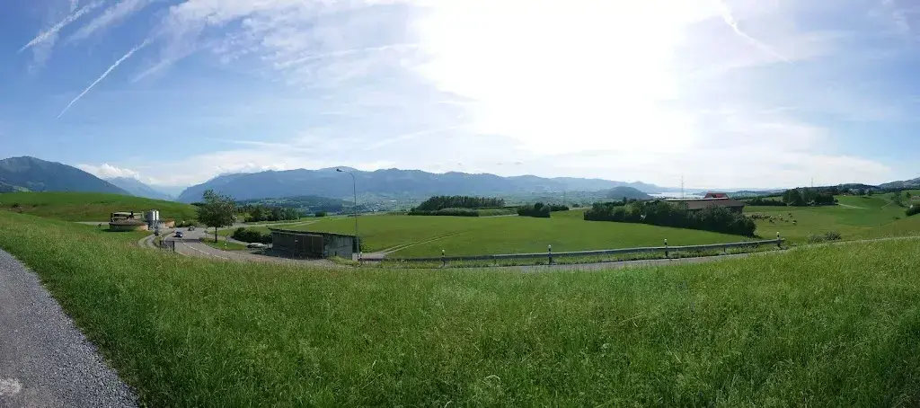 mona hamzeh_Restaurant Älpli_Gommiswald_review