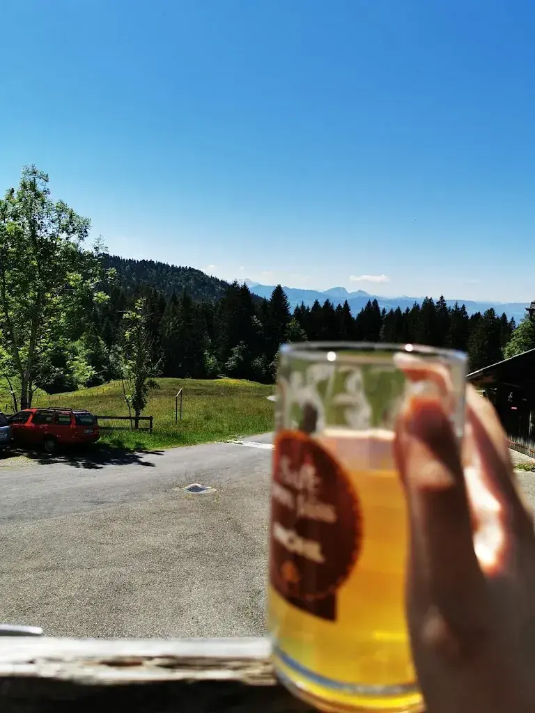 Sneezy Fey_Alpwirtschaft Klosterberg_Gommiswald_review