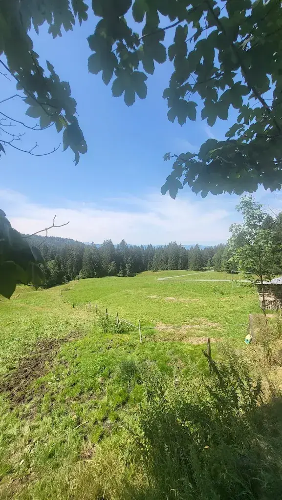 Alpwirtschaft Klosterberg_Gommiswald_slider_image_2