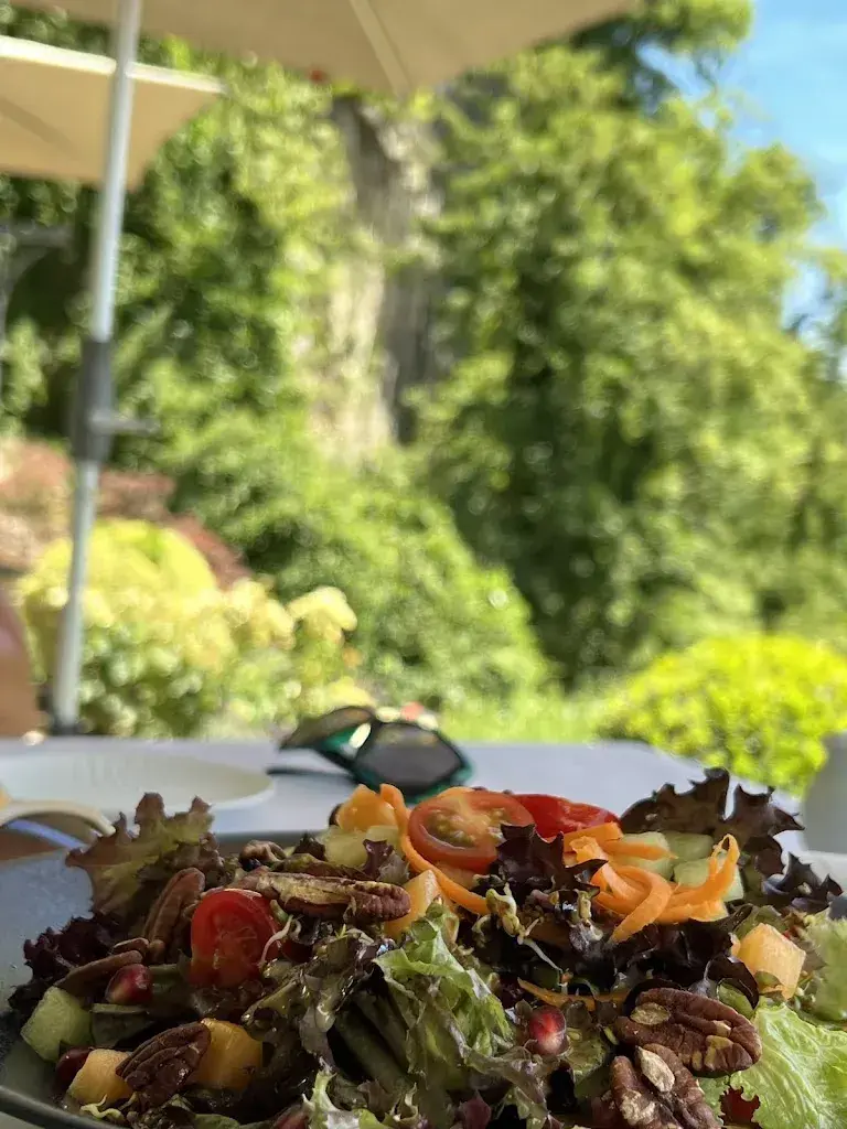 Menu_Hertenstein Panorama Restaurant_Ennetbaden_immagine_4