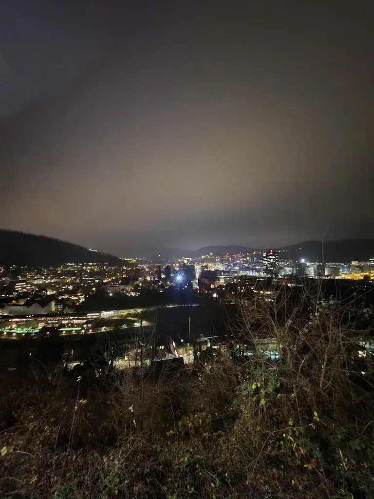 Valentin Alexandru_Hertenstein Panorama Restaurant_Ennetbaden_recensione