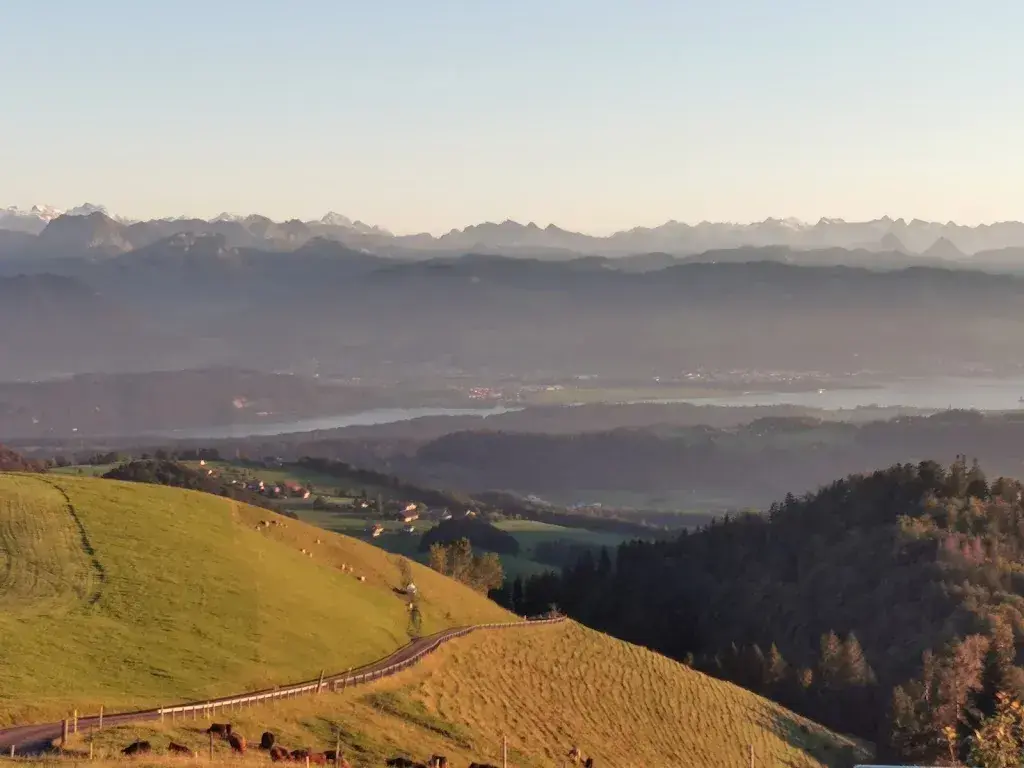 Sneezy Fey_Gasthaus Alp Scheidegg_Wald_review