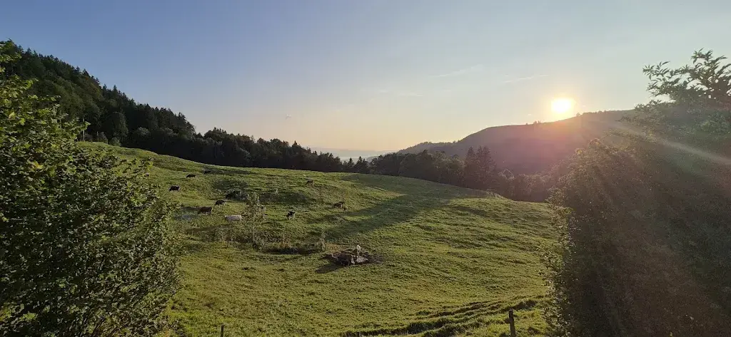 RB-PHOTOGRAPHY_Bergrestaurant Poo-Alp_Wald_recensione