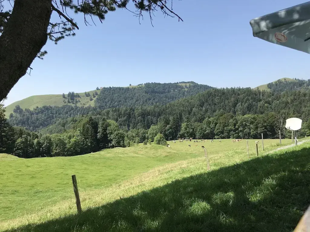 Monir Jawad_Bergrestaurant Poo-Alp_Wald_recensione