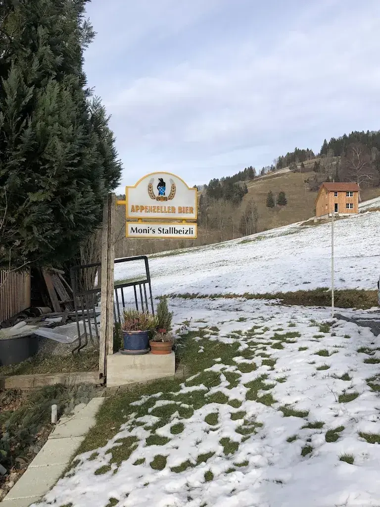 Jaromir Ott_Monis Stallbeizli_Wald_review