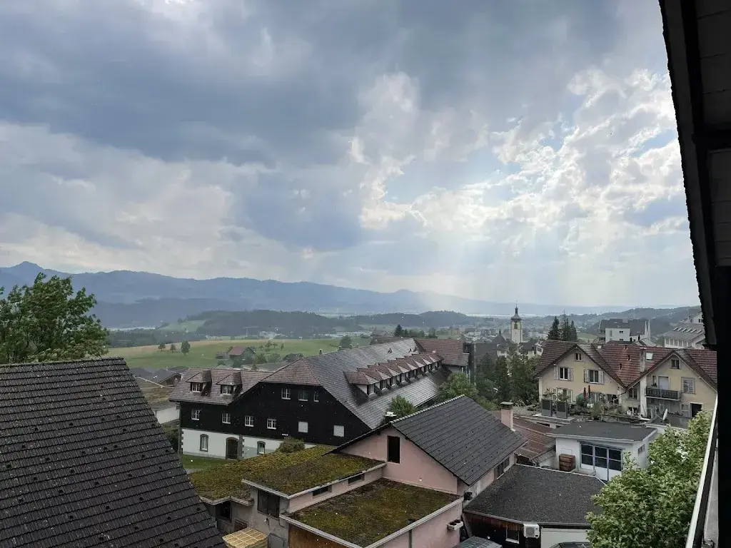 Dr. Jussi_Krone_St. Gallenkappel_review