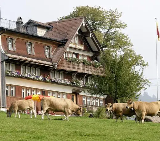 Frohwies_Neckertal_slider_image_2