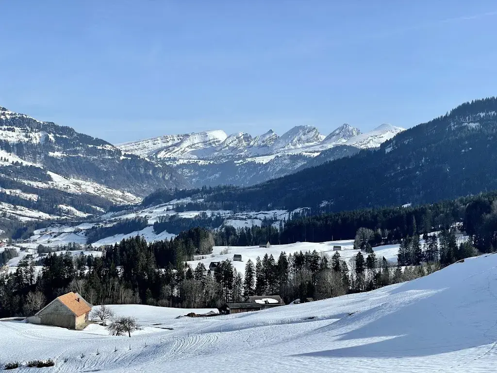 Ralf Salewski_Wolzenalp_Nesslau_avis