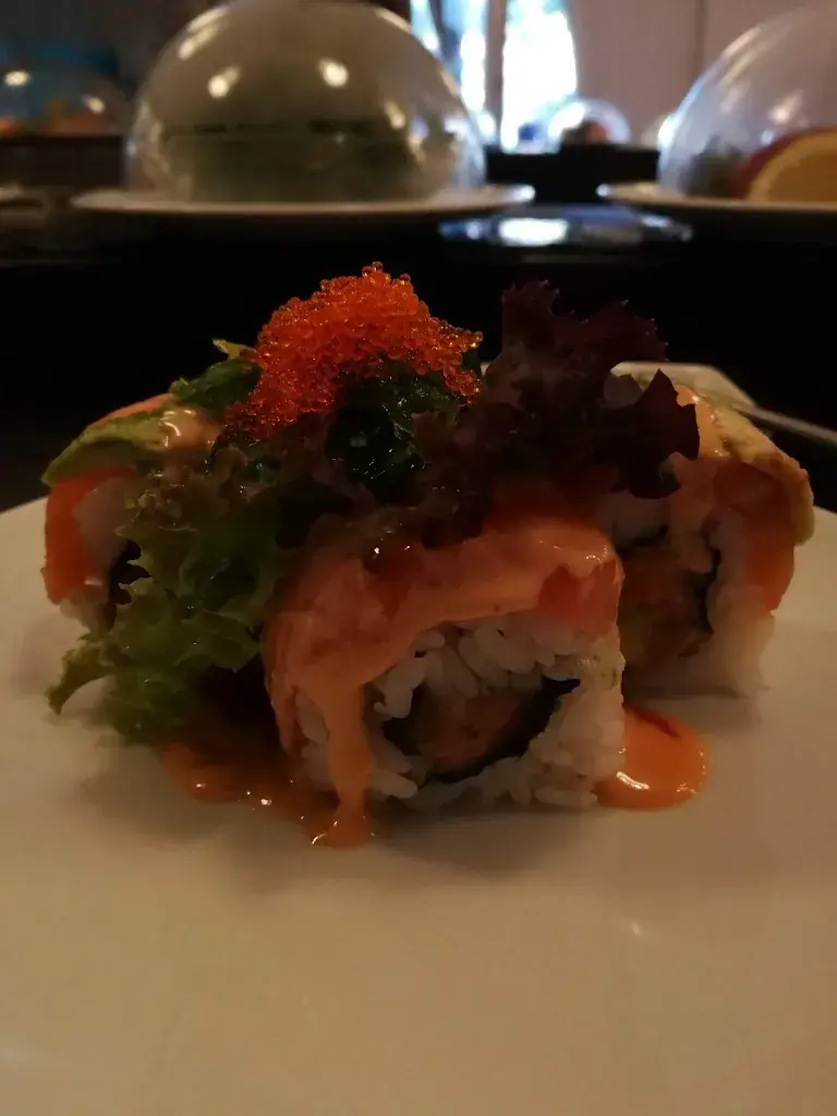 Menu_Sayori_Rapperswil-Jona_image_6