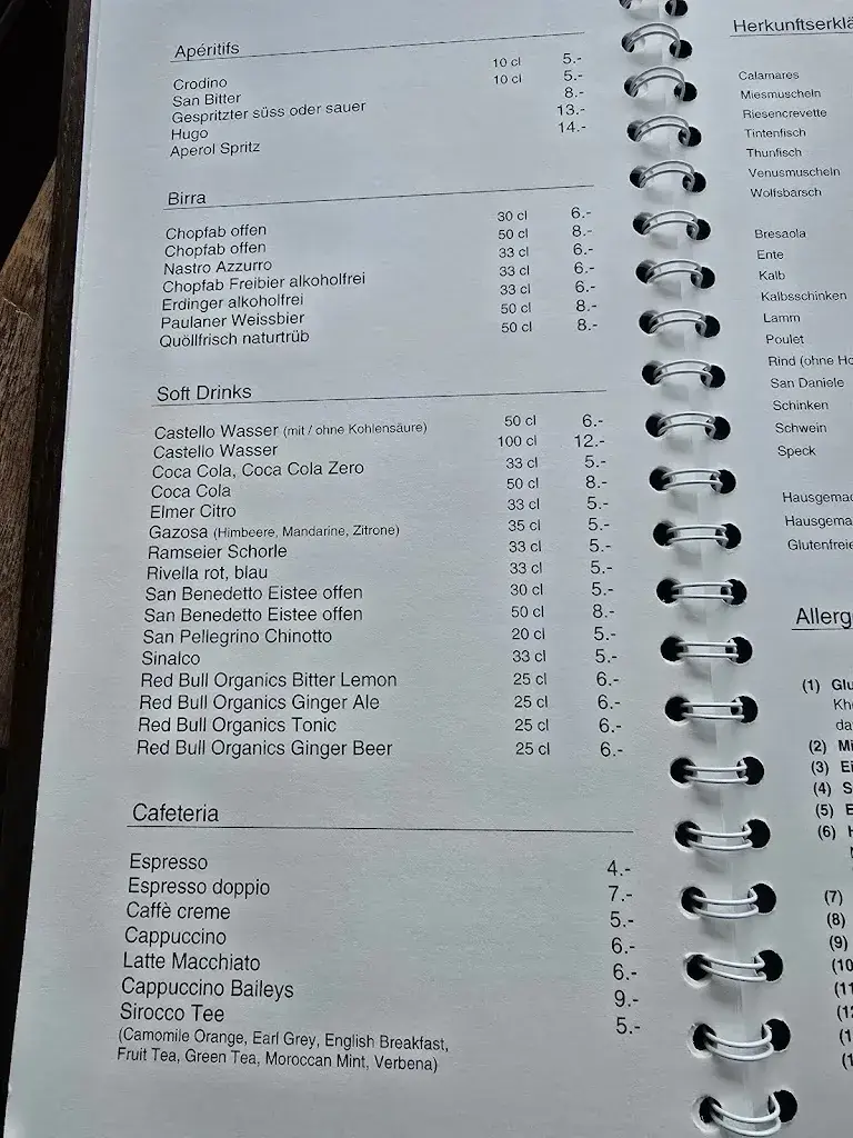 Menu_dieci Pizza&Pasta Restaurant Rapperswil_Rapperswil-Jona_image_3