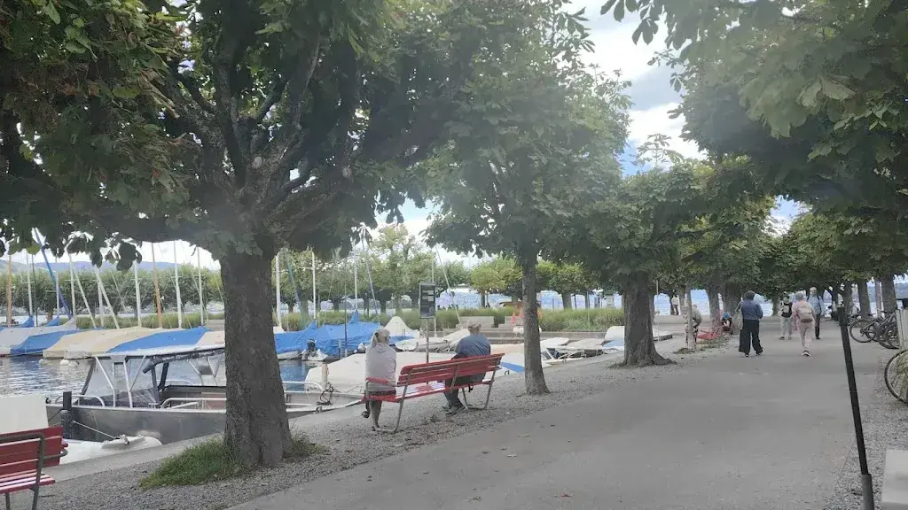 William Bell_Steinbock_Rapperswil-Jona_review