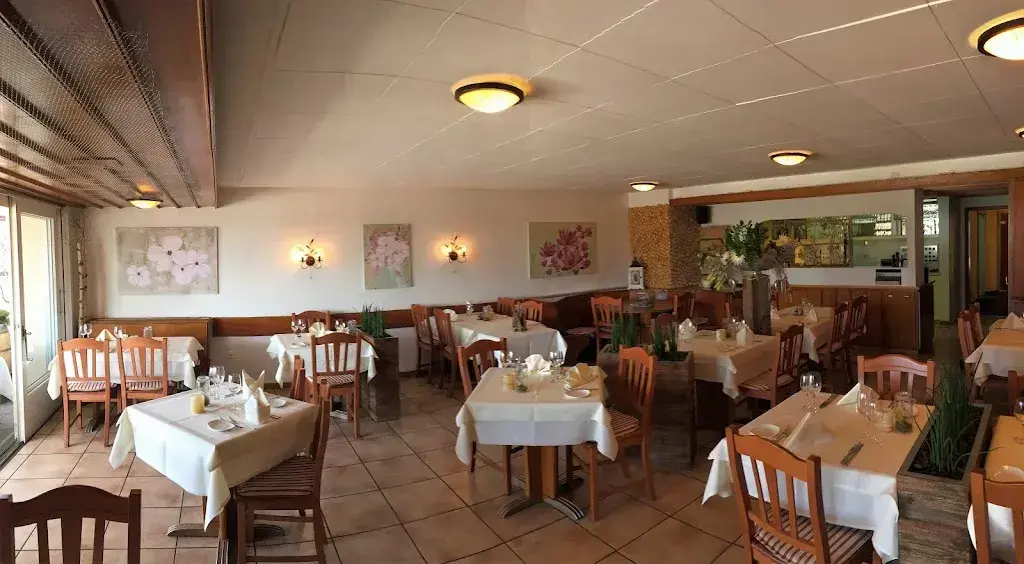 Steinbock restaurant in Rapperswil-Jona