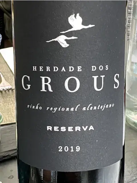 Daniel Wylie_La Fuente_Rapperswil-Jona_review