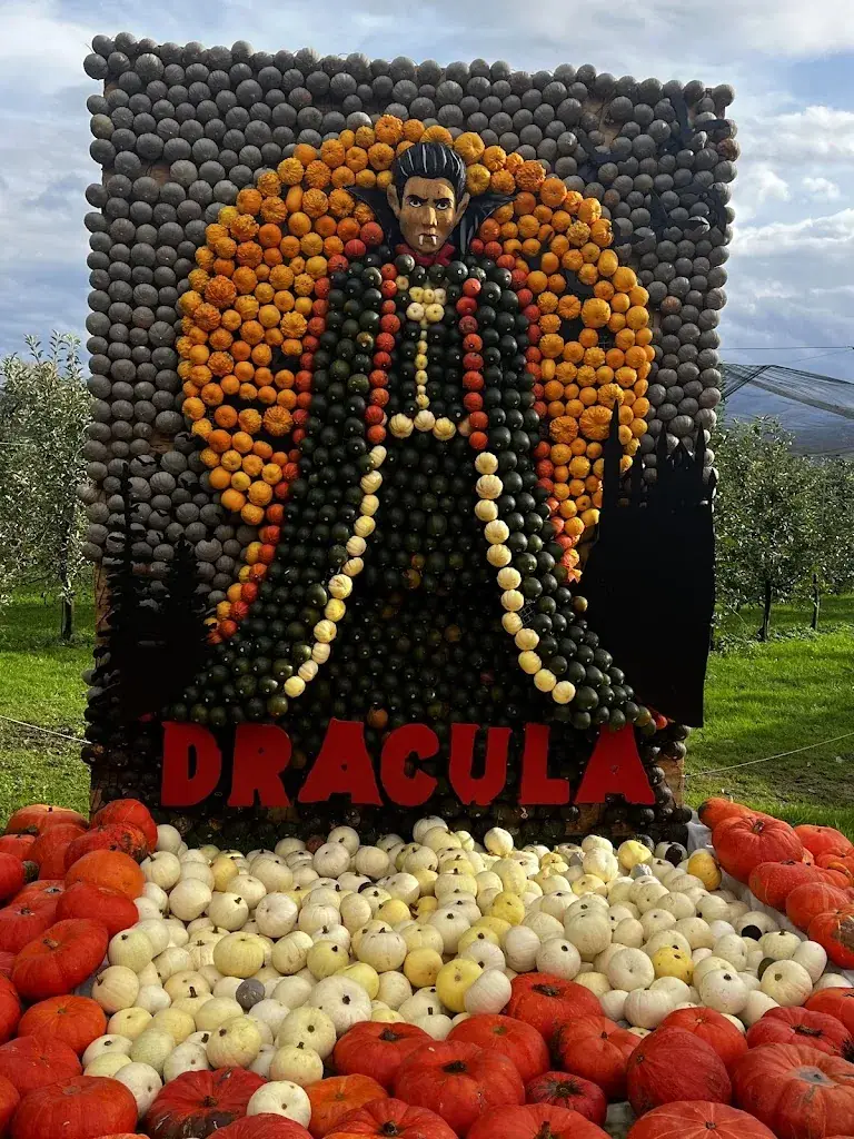 Maite Plimmer_Bächlihof, Jucker Farm AG_Jona SG_avis