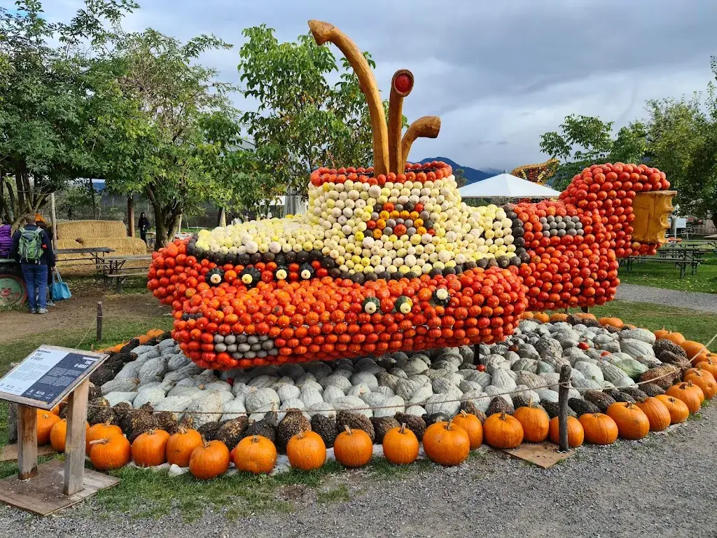 Bächlihof, Jucker Farm AG_Jona SG_slider_image_3