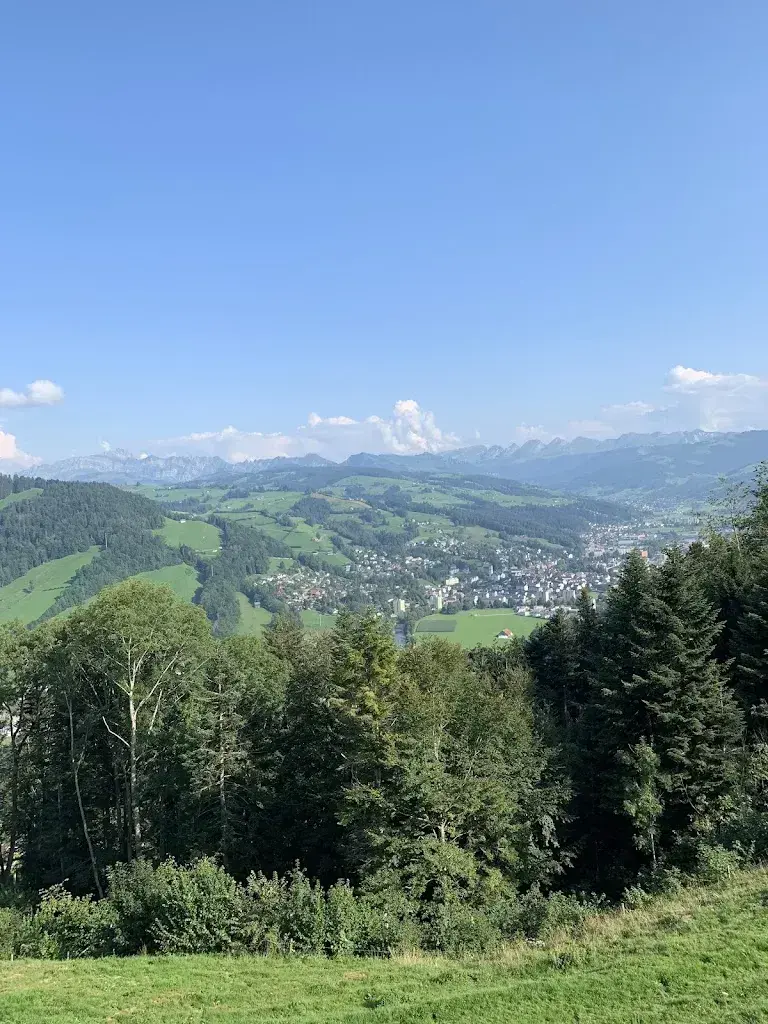 S S_Freudenberg_Krinau_recensione