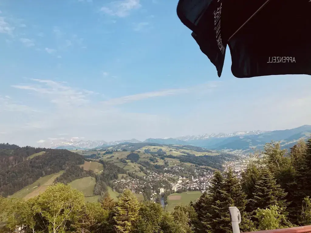 Subash Chander_Freudenberg_Krinau_recensione