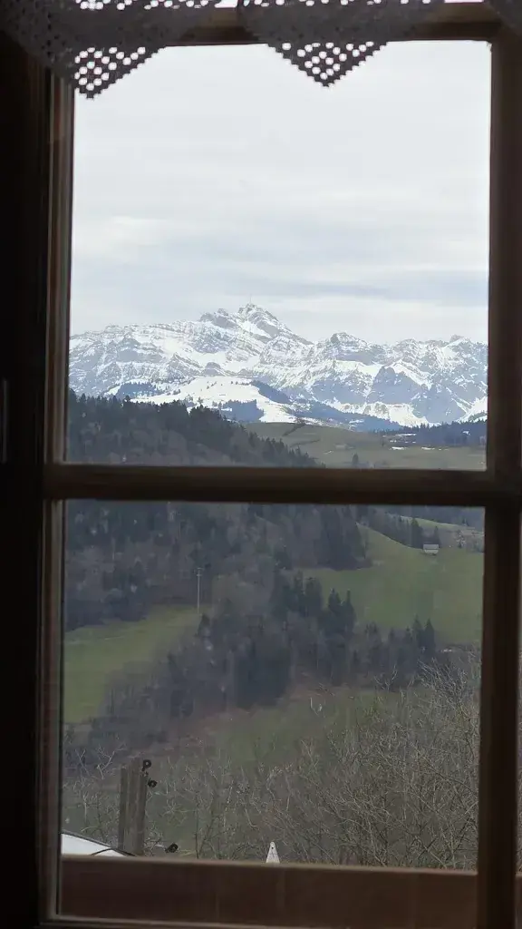 Claudia S._Freudenberg_Krinau_recensione