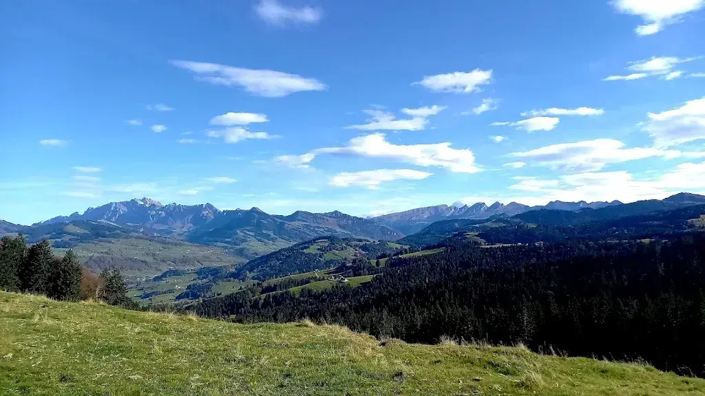 Willi Mueller_Thurpark Gastro_Wattwil_review