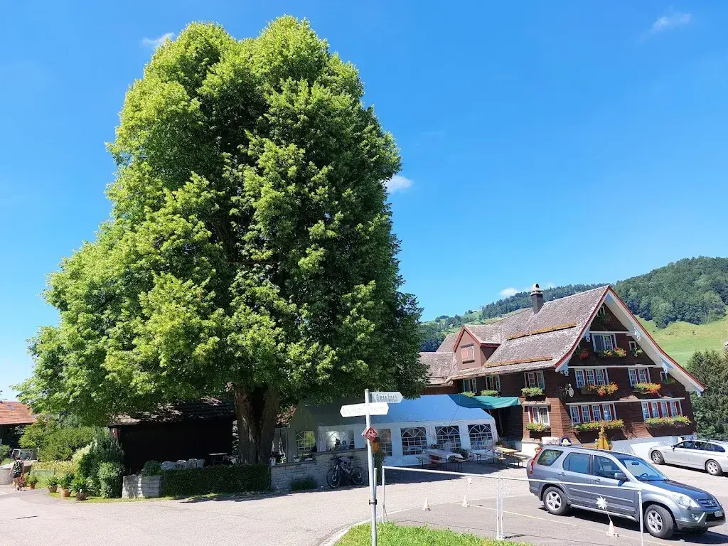 hansruedi zimmermann_Restaurant Blume Brandholz_Ebnat-Kappel_review