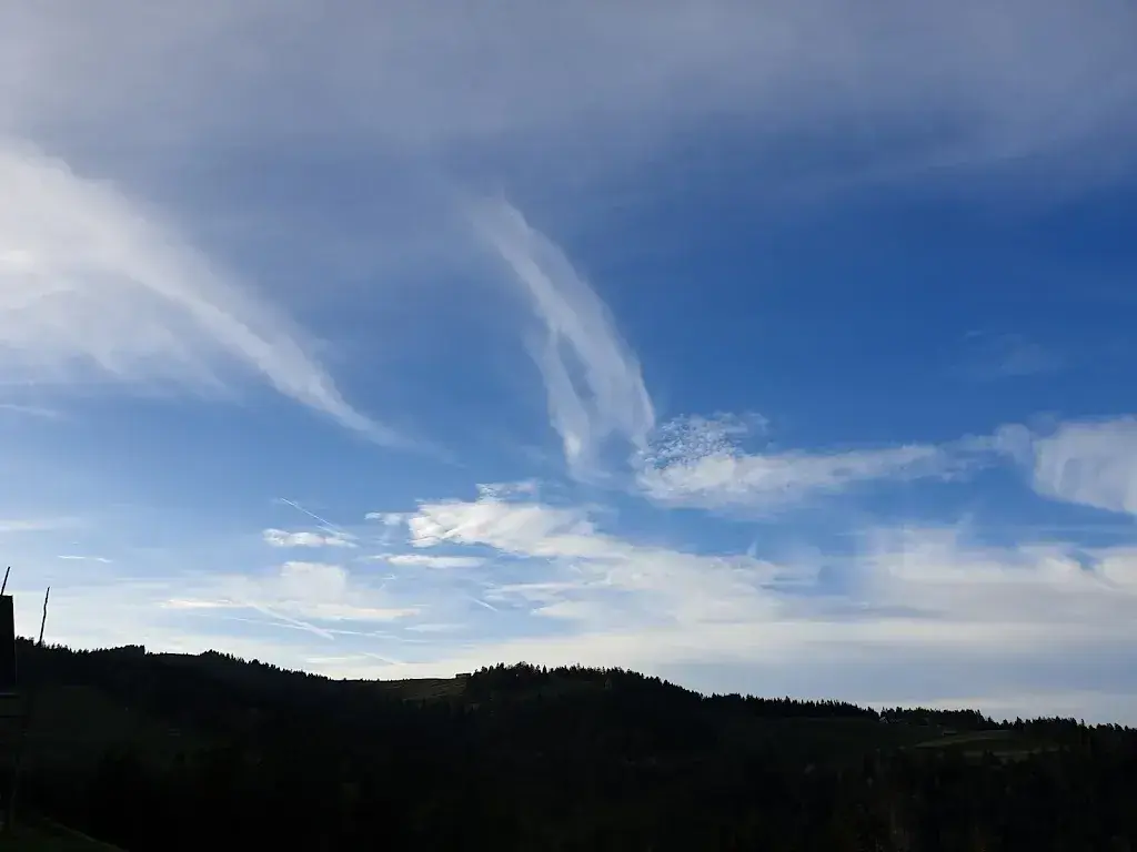 Aliza OR_Unterbächen_Ebnat-Kappel_review