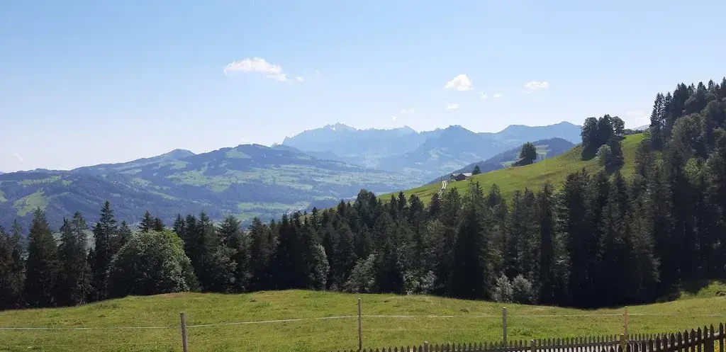 Rolf Hohl_Unterbächen_Ebnat-Kappel_review