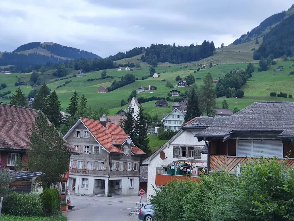 Hotel Restaurant Ochsen restaurant in Stein