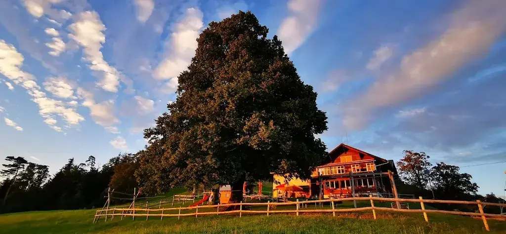 Christian Saager_Bergwirtschaft Köbelisberg_Lichtensteig_review