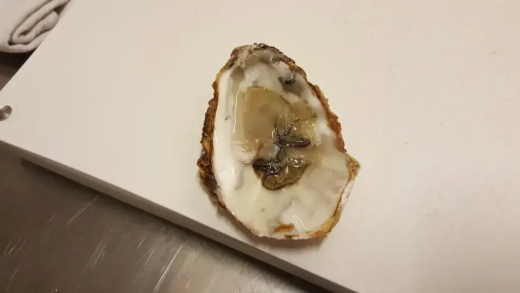 Menu_Löwen_Lichtensteig_image_4