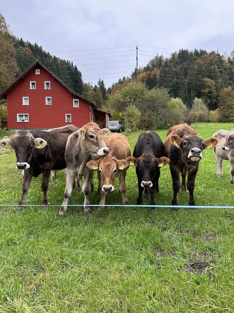 Martin Manhart_Grütli_Unterrindal_review