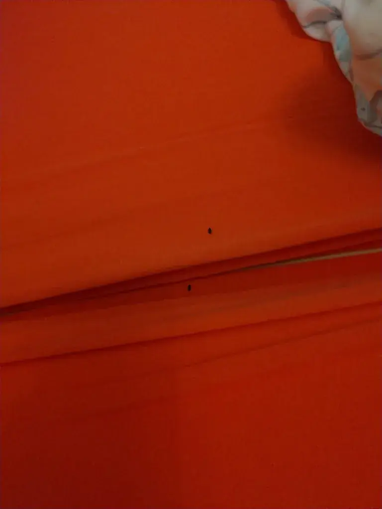 Alessandro Carta_Gasthaus Hulftegg_Mühlrüti_review