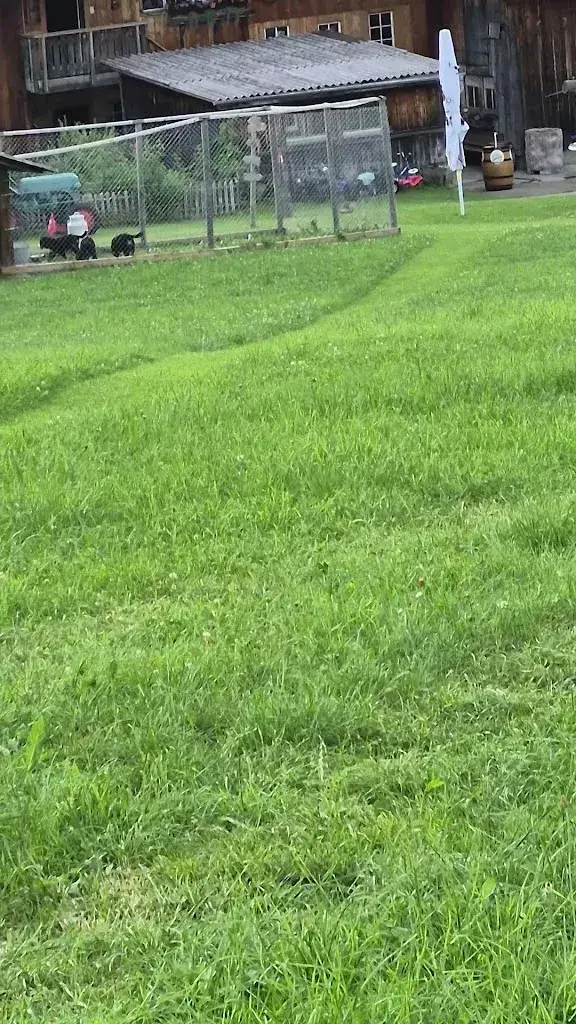 Yvonne Posanz_Weid-Hof_Oberhelfenschwil_review