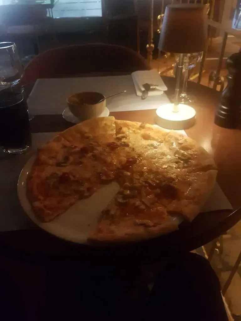 Izmit Selimi_Barone_Schwarzenbach_review