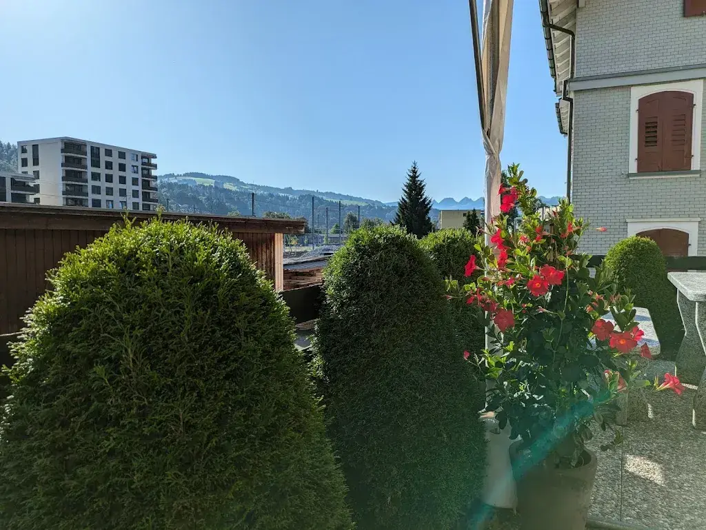 Mario Tagliente_Falken_Wattwil_review