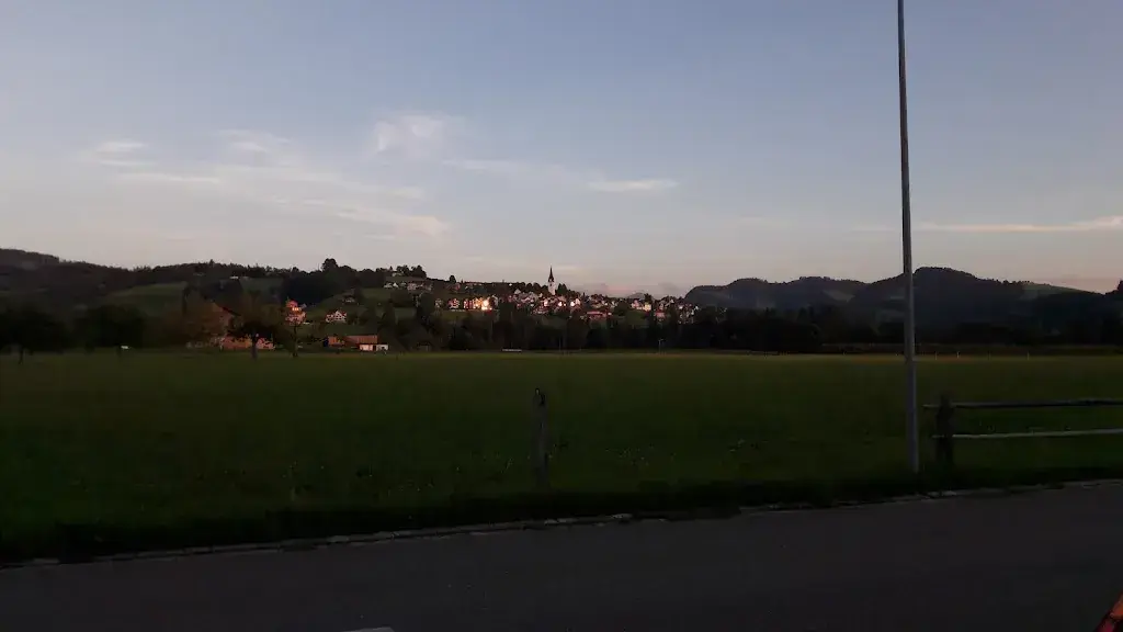 Ulrich Frei_Traube Nassen_Nassen_review