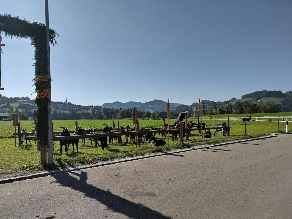 Traube Nassen_Nassen_slider_image_3