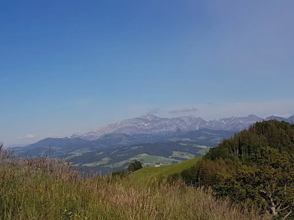 Ruth Eisenegger_Alpwirtschaft Schwämmli_Mosnang_review