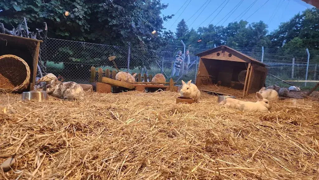 jay andc_Chäsalp_Zürich_review