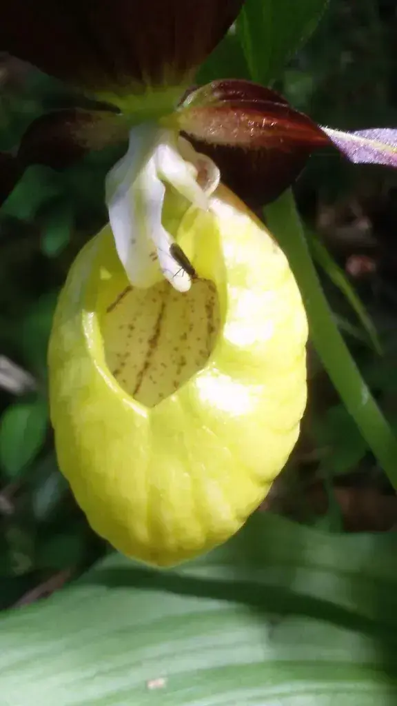 Rolf Wäspi_Landhaus_Oberrindal_review