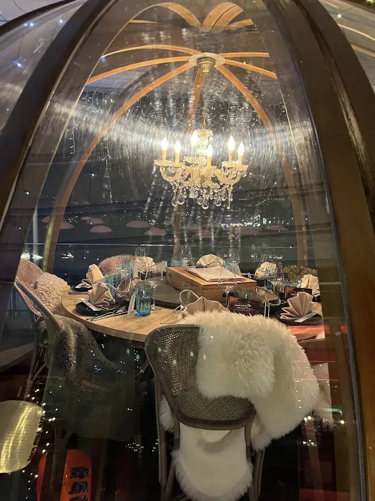 Cristina N.V._Rooftop Igloo_Bern_avis