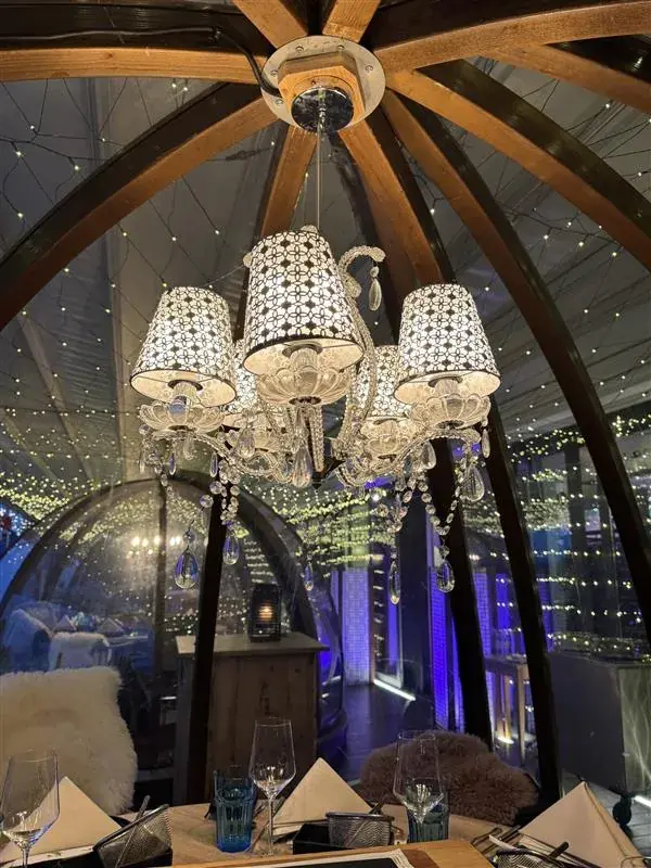 Debby Althaus_Rooftop Igloo_Bern_avis