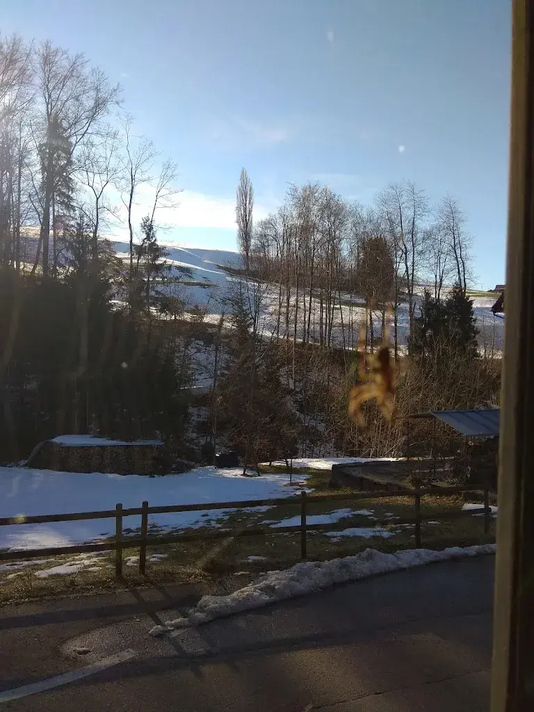 Toggenburg restaurant in Flawil