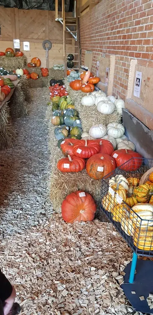 Menu_Kuhstall Beizli_Niederwil_image_2