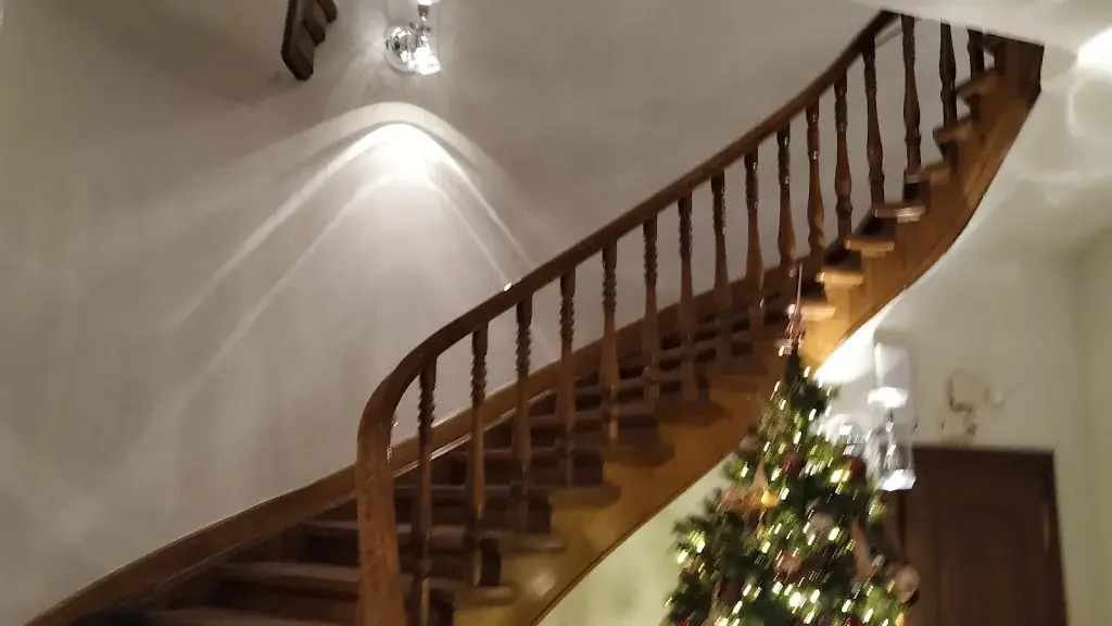 Vinamra Kumar_Zunfthaus zur Saffran_Zürich_avis