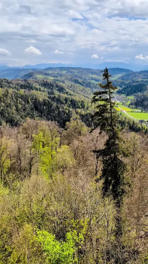 Chef Randhir Tiwari_George_Zürich_review