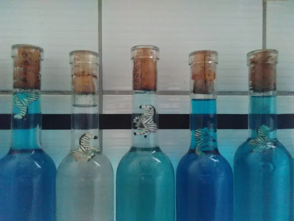 Maura Bolliger_Restaurant Zebra_Bern_avis