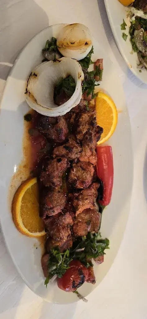 Ahmed Oz._Restaurant Le Cèdre - Badenerstrasse_Zürich_review