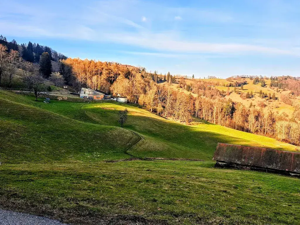 Restaurant zur Alp_Oberbuchsiten_slider_image_3